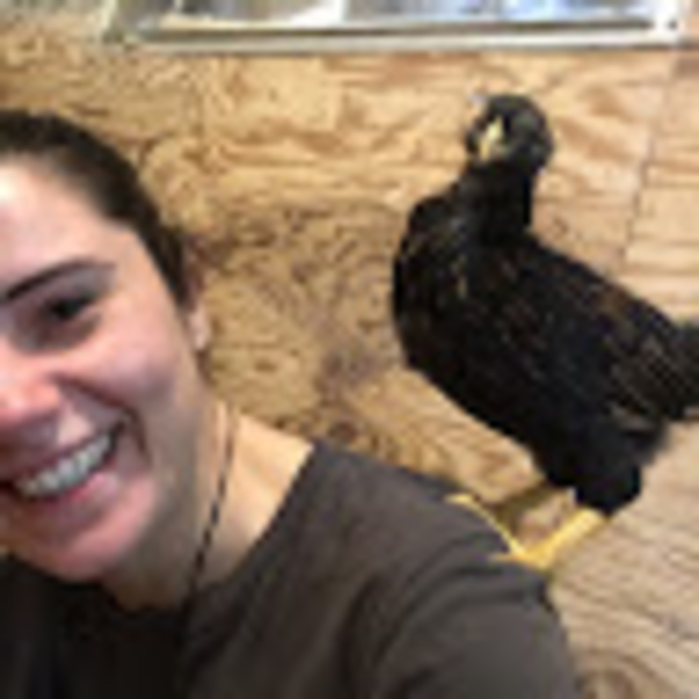 Meet your Posher, Ashley